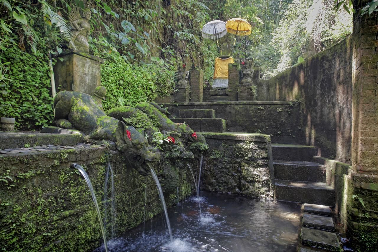 Bucu Beji Ubud Kültér fotó